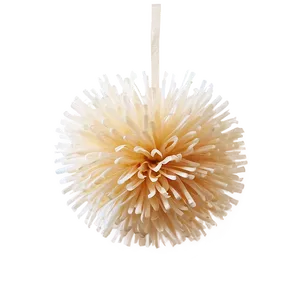 Biodegradable Pom Poms Png 06132024 PNG image