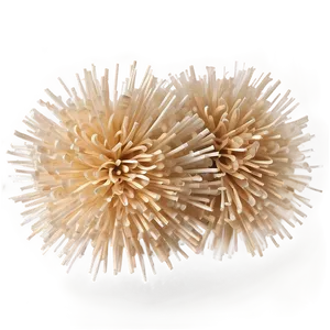 Biodegradable Pom Poms PNG 68