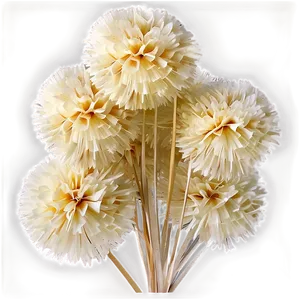 Biodegradable Pom Poms PNG Ale