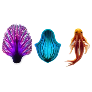 Bioluminescence In Marine Life PNG 16 PNG