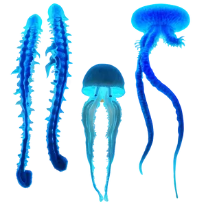 Bioluminescence In Marine Life PNG Fpe70 PNG