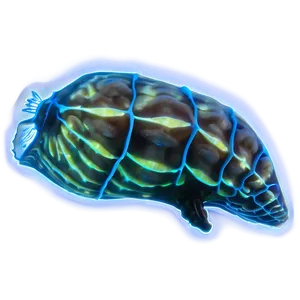 Bioluminescence In Marine Life PNG Sbg PNG
