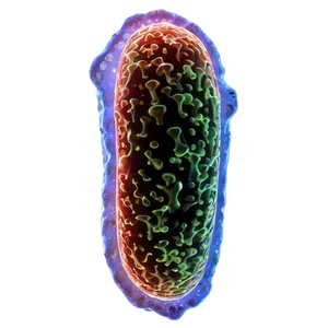 Bioluminescent Bacteria PNG Yow