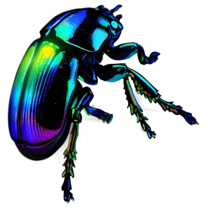 Bioluminescent Beetle Glow PNG 26