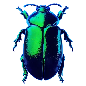 Bioluminescent Beetle Glow PNG Yma99 PNG