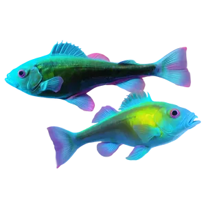 Bioluminescent Fish Glow PNG 77 PNG