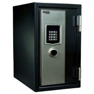 Biometric Safe PNG 05242024