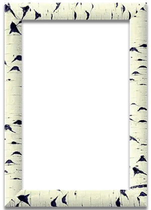 Birch Frame Black Center