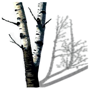 Birch Tree Shadow Png Neo PNG image