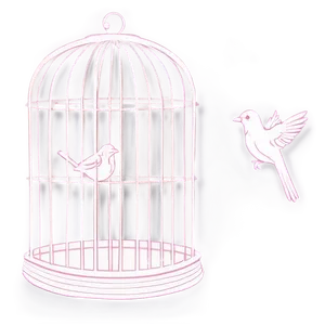 Bird Cage Background PNG 3 PNG