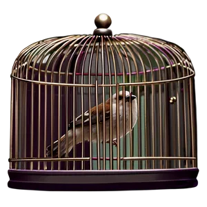 Bird Cage For Wedding PNG 06122024