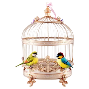 Bird Cage For Wedding PNG 06122024