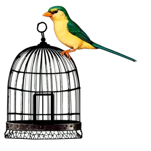Bird Cage Vintage PNG 05032024