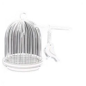 Bird Cage With Swing PNG 06122024 PNG