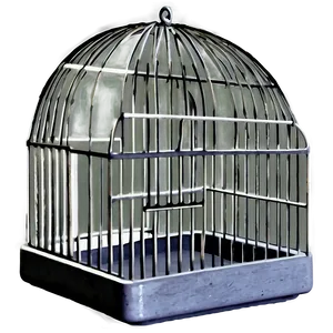 Bird Cage With Swing PNG 06122024