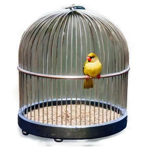 Bird Cage With Swing PNG Gjx PNG