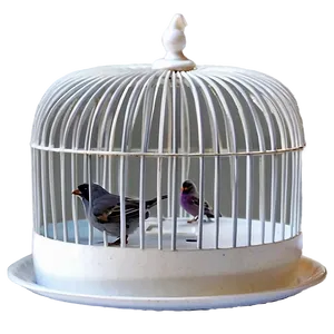 Bird Cage With Tray PNG 29 PNG