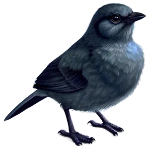 Bird Clipart Simple PNG Lhr