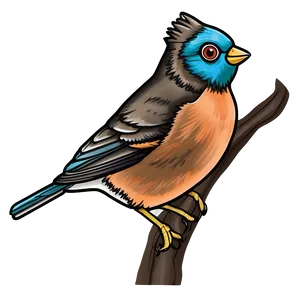 Bird Coloring Page PNG Ete PNG