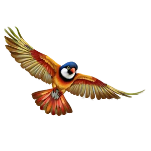 Bird D PNG