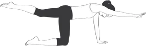 Bird Dog Exercise Illustration PNG