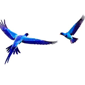 Bird Flock Flying PNG Qfk