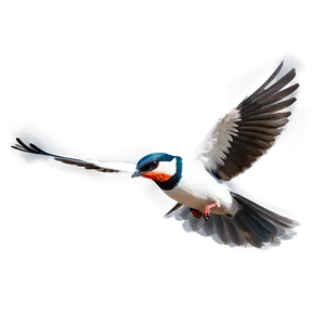 Bird Flying D PNG image