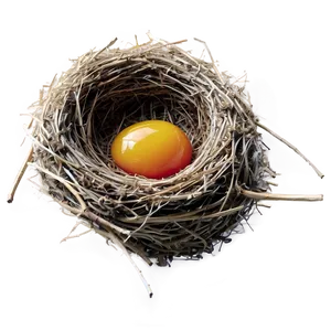 Bird Nest And Sunrise PNG Dkj99 PNG
