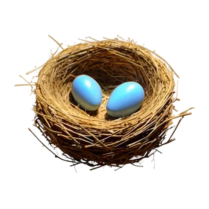 Bird Nest At Sunrise PNG 91