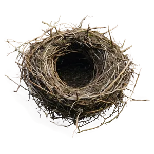 Bird Nest Habitat PNG Nkm PNG