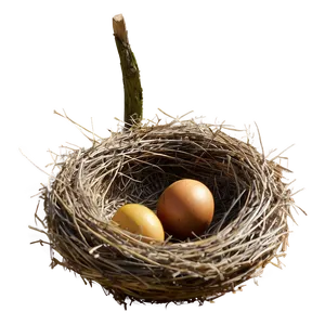Bird Nest In Autumn PNG Eec87 PNG