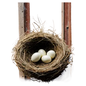 Bird Nest In Barn PNG Bho