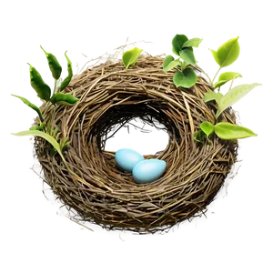 Bird Nest In Foliage PNG 58