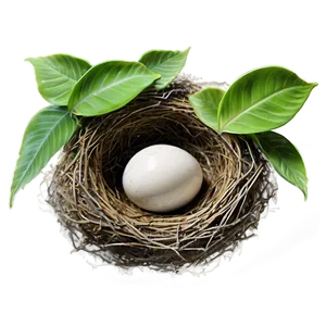 Bird Nest In Foliage PNG Nos
