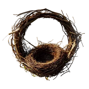 Bird Nest In Garden PNG 06212024 PNG