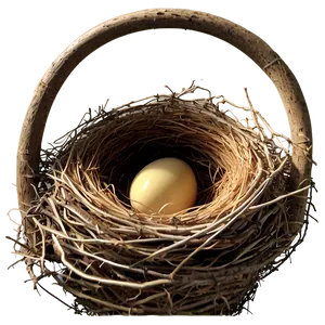 Bird Nest In Nesting Box PNG Xil34