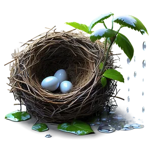 Bird Nest In Rain PNG 06212024