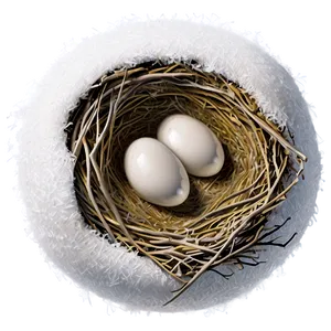 Bird Nest In Snow PNG 06212024