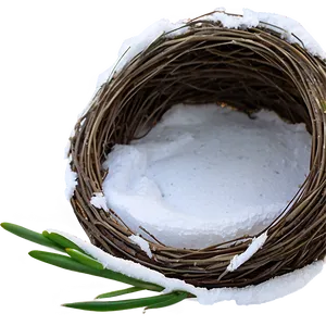 Bird Nest In Snow PNG 06212024