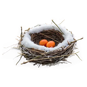 Bird Nest In Winter Png 06212024 PNG image