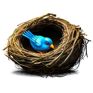 Bird Nest On Ground PNG 64 PNG