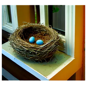 Bird Nest On Window Sill PNG Nll PNG