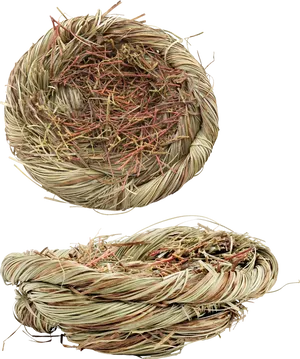 Bird Nest Twigs Top Side View PNG