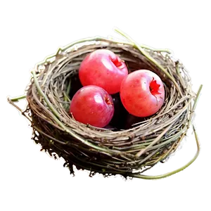 Bird Nest With Berries PNG 06212024
