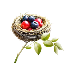 Bird Nest With Berries PNG 06212024