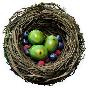 Bird Nest With Berries PNG 45 PNG