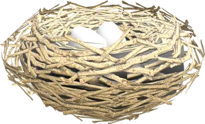 Bird Nest With Eggs3 D Render PNG