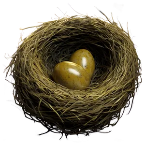Bird Nest With Feathers PNG 31