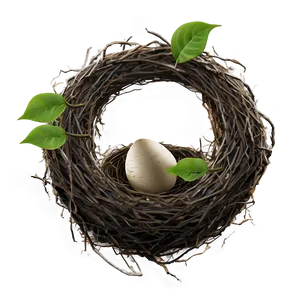 Bird Nest With Leaves PNG 06212024