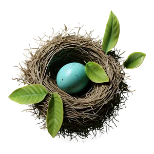Bird Nest With Leaves PNG 72 PNG